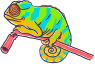 Hüllő