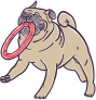 Kutya