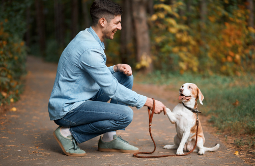 Petguru logo