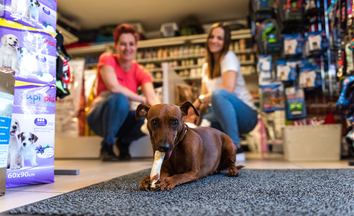 Petguru logo
