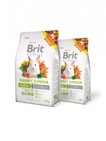 brit-animals-rabbit-junior