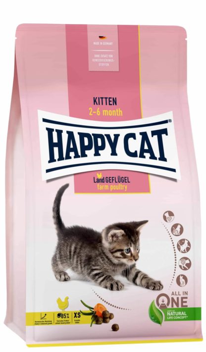 Happy Cat Kitten Baromfi