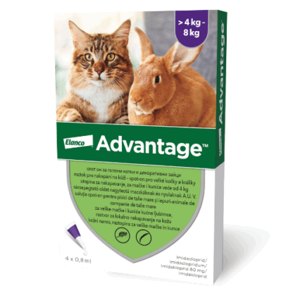 Advantage Spot-on Cat 0,8 ml (4 kg-tól)