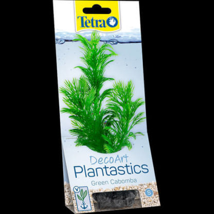 tetra-decorart-plant-green-cabomba