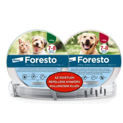 foresto