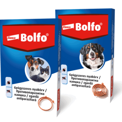 bolfo