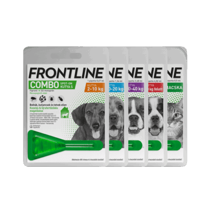 Frontline combo kutya