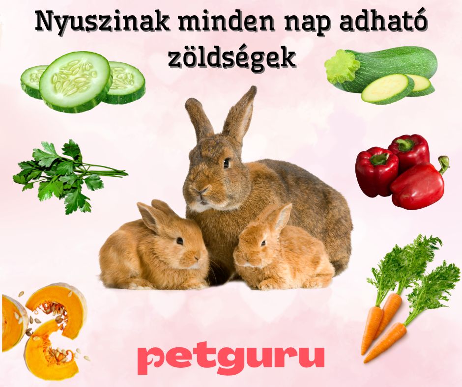 nyuszinak-adhato-zoldsegek