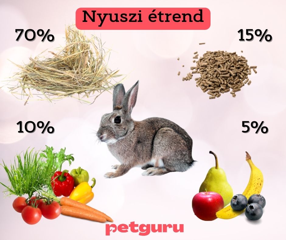 szena-nyuszinak