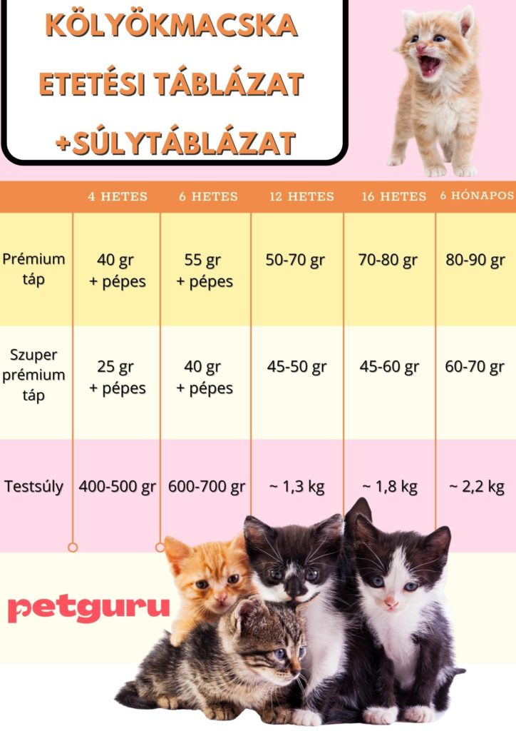 kolyok-macska-etetesi-tablazat