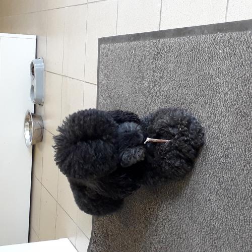 Nincs kép feltöltve