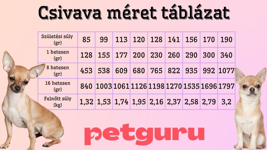 csivava-meret-tablazat-petguru