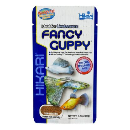 hikari-fancy-guppy