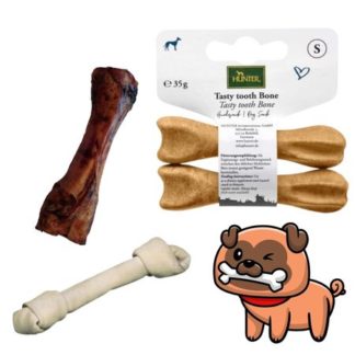 Rágócsont