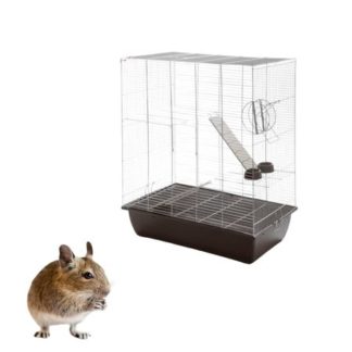 Degu ketrec