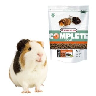 Tengerimalac eledel