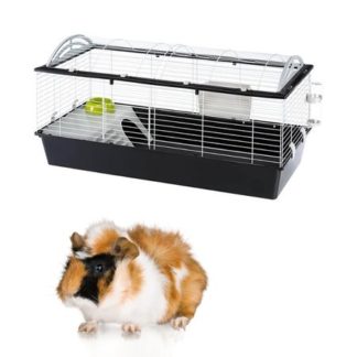 Tengerimalac ketrec