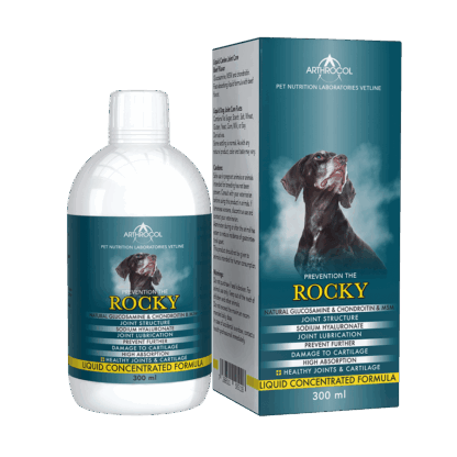 rocky-all
