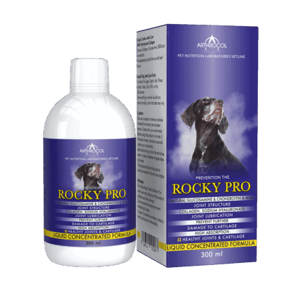 rocky-pro-all