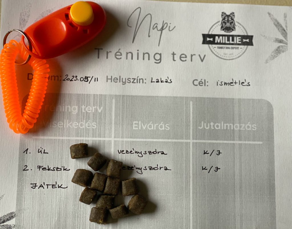 tréning terv