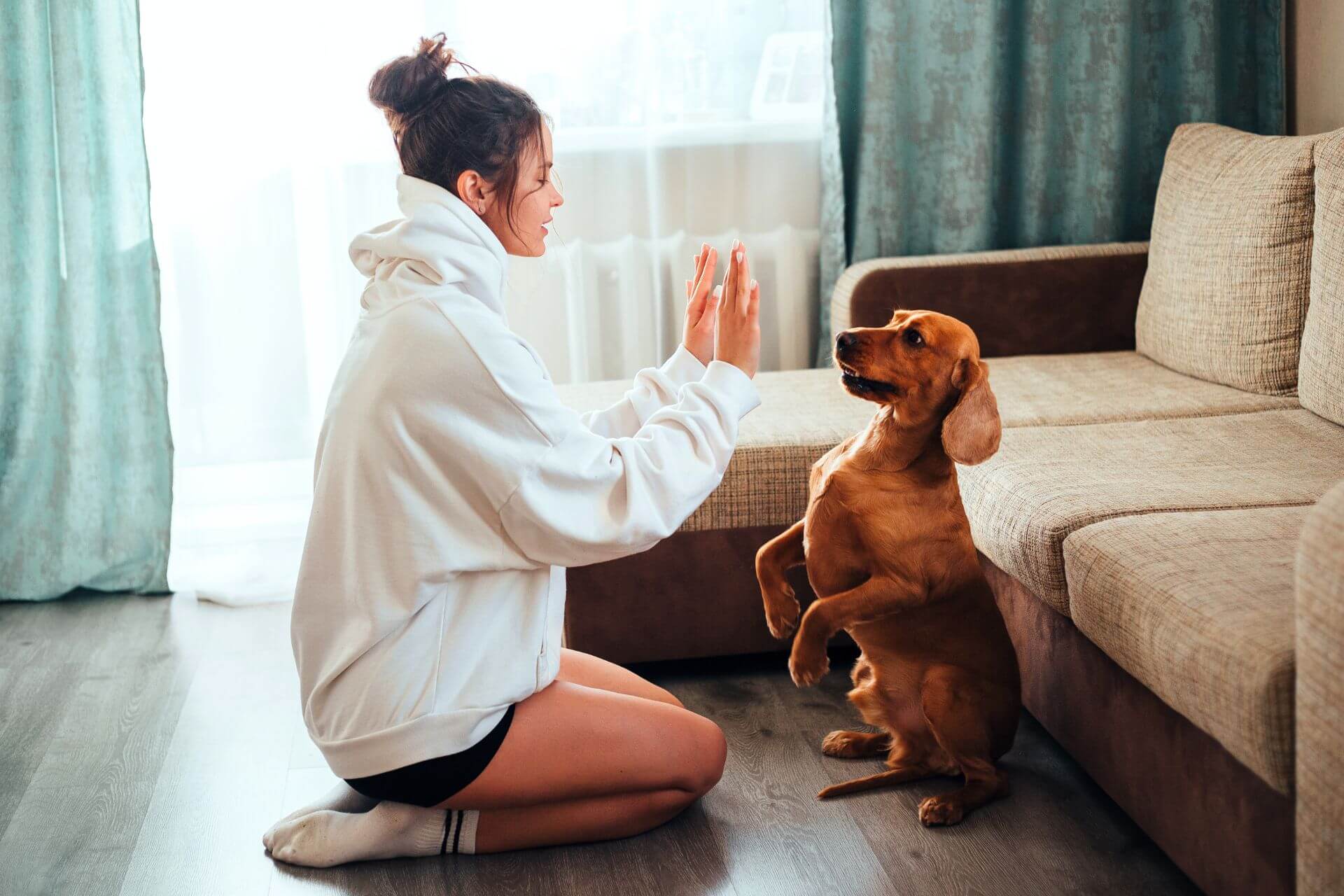 Kutyanevelés, de hogyan? 7 alapelv a biztos sikerért…