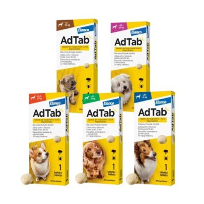 adtab-ragotabletta