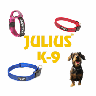Julius K9 nyakörv