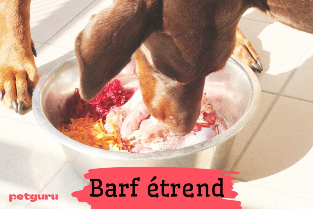 kutya-barf