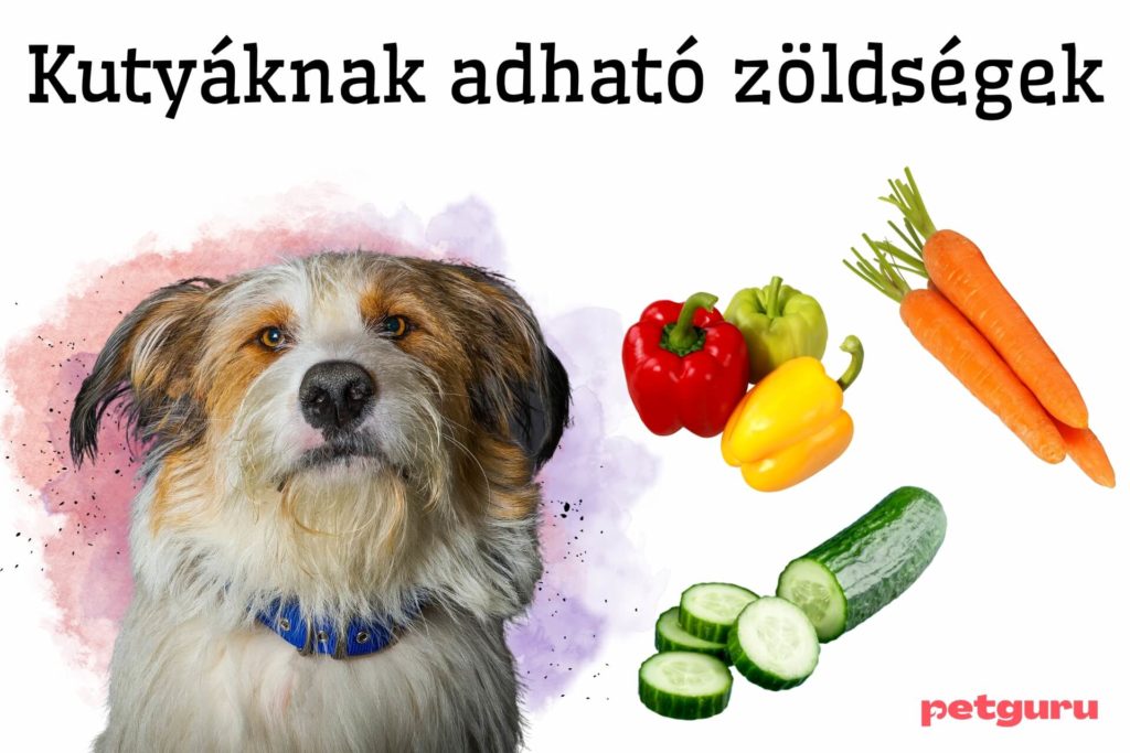 kutyaknak-adhato-zoldsegek