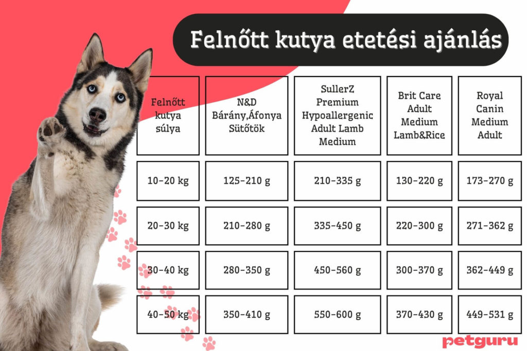 kutya-etetesi-tablazat