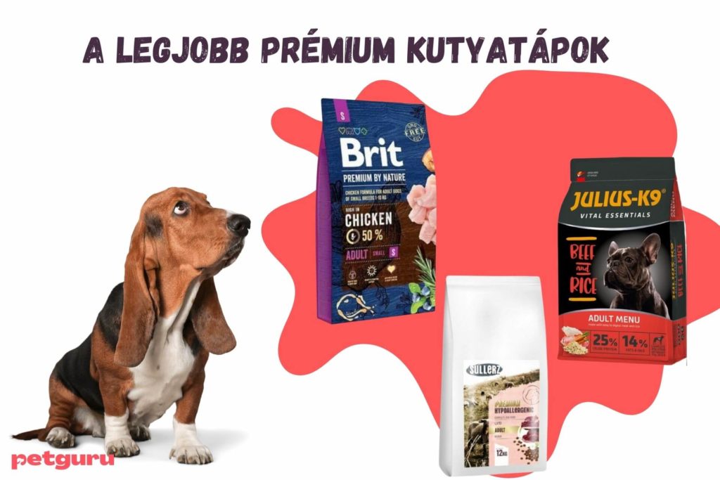 miglior-cane-kutyatap