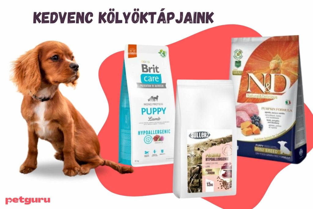 romeo-kutyatap
