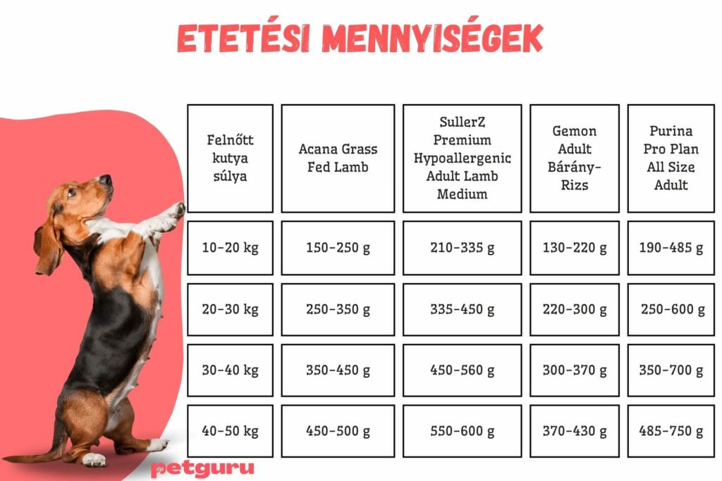 wolf-of-wilderness-velemenyek