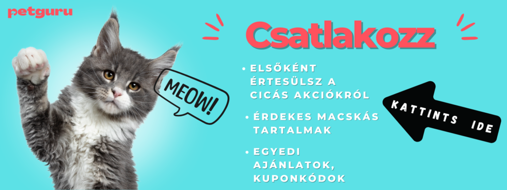 macskas-feliratkozas