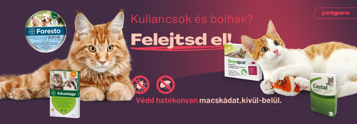 Petguru